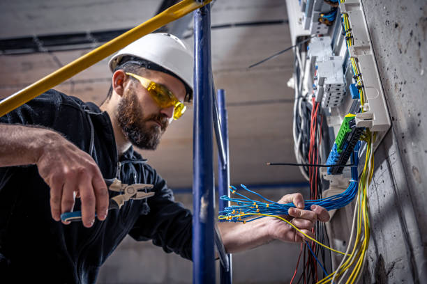 Best Electric Panel Repair  in Prescott, WI
